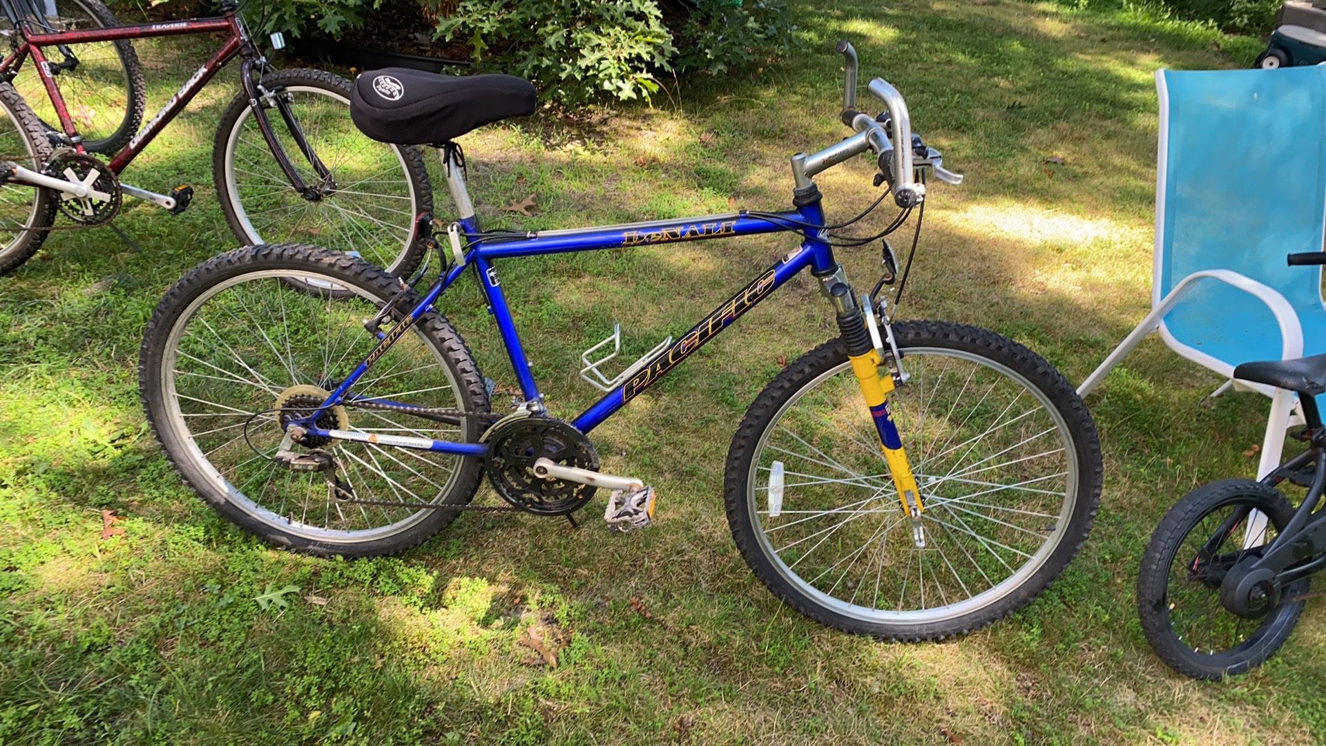 Pacific 2024 denali bike