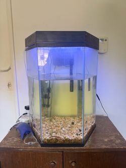 20 gallon Hexagonal Fish Tank Aquarium with LED Light