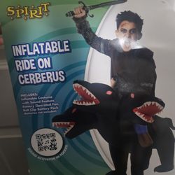 Inflatable Costume