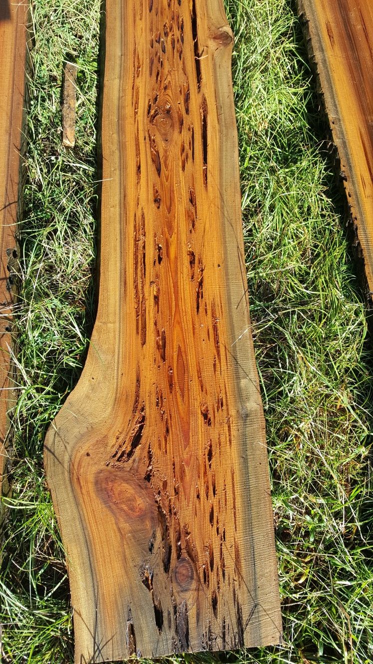 PECKY SINKER CYPRESS SLABS