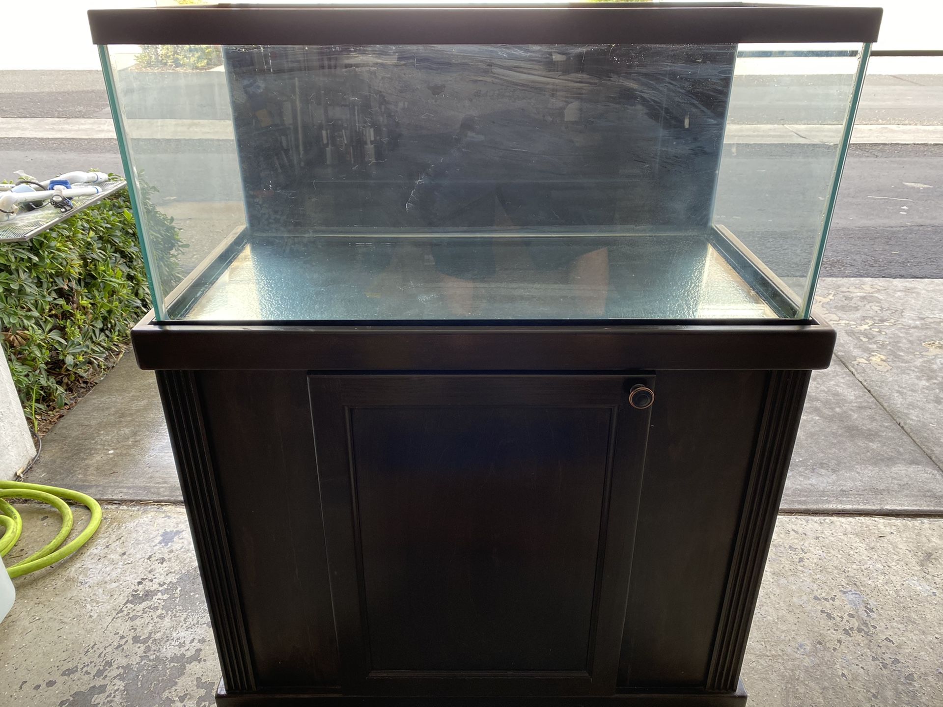 Fish tank aquarium