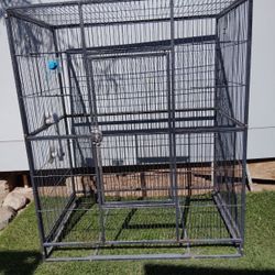 Bird Cage