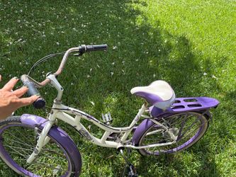 Schwinn Bike