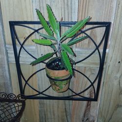 Metal Plant Or Candle Holders
