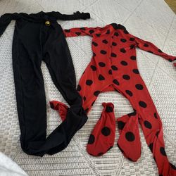 Lady Bug And Cat Noir 