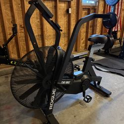 ROGUE ECHO BIKE V3.0