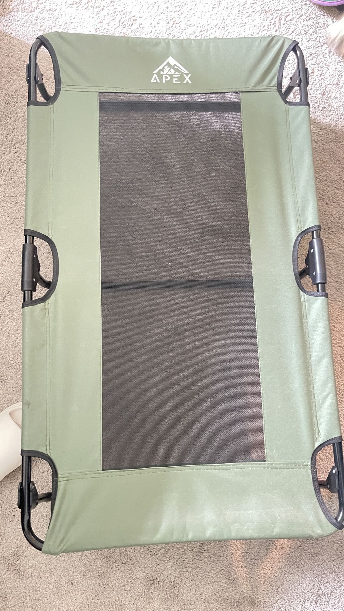 Foldable raised dog bed for outside