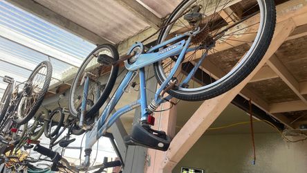 Adult bike
