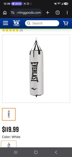 Everlast punching bag