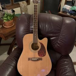 Authentic Harmonia Acoustic, Electric Guitar 