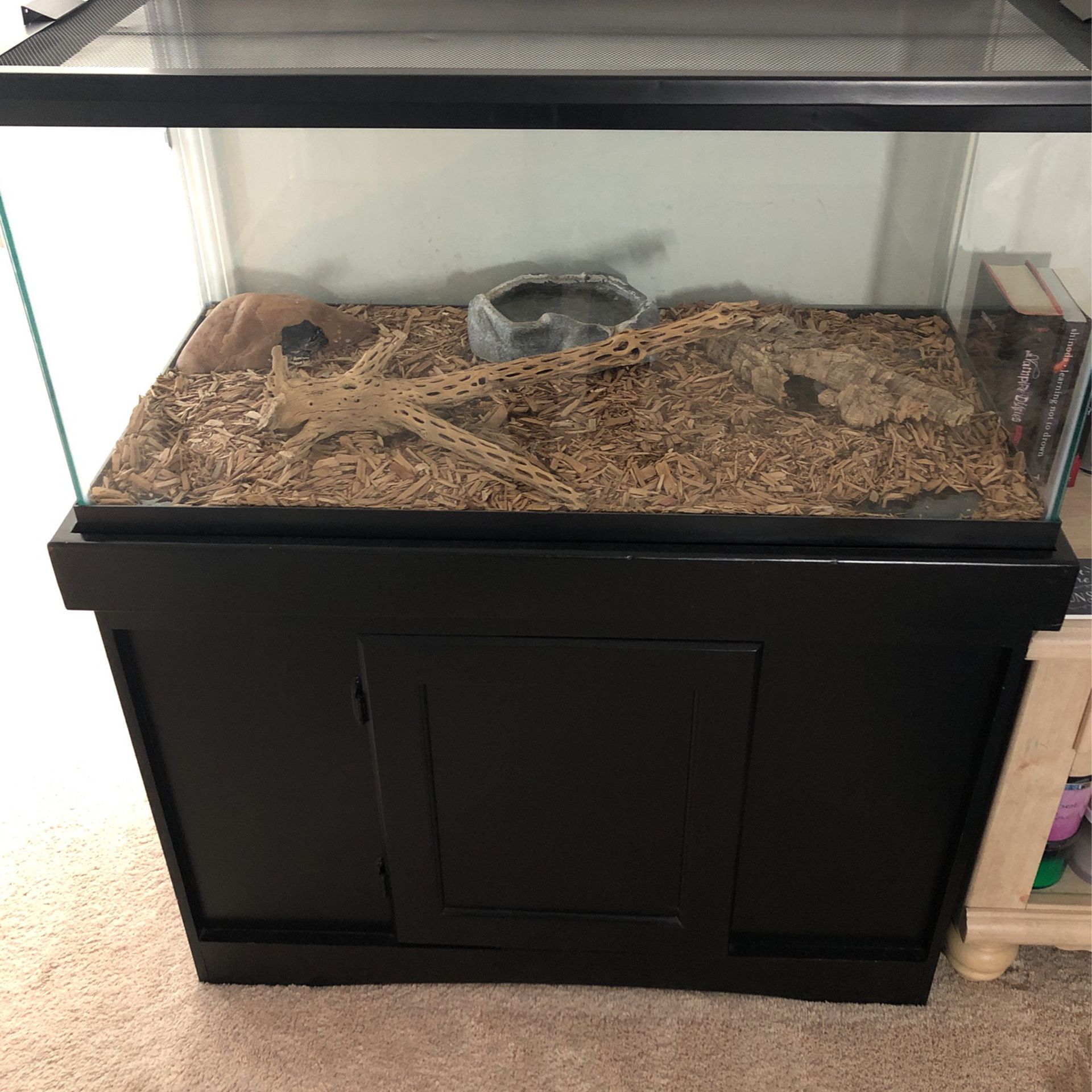 40 Gallon Tank With Lid and Black Stand and Ball male Python