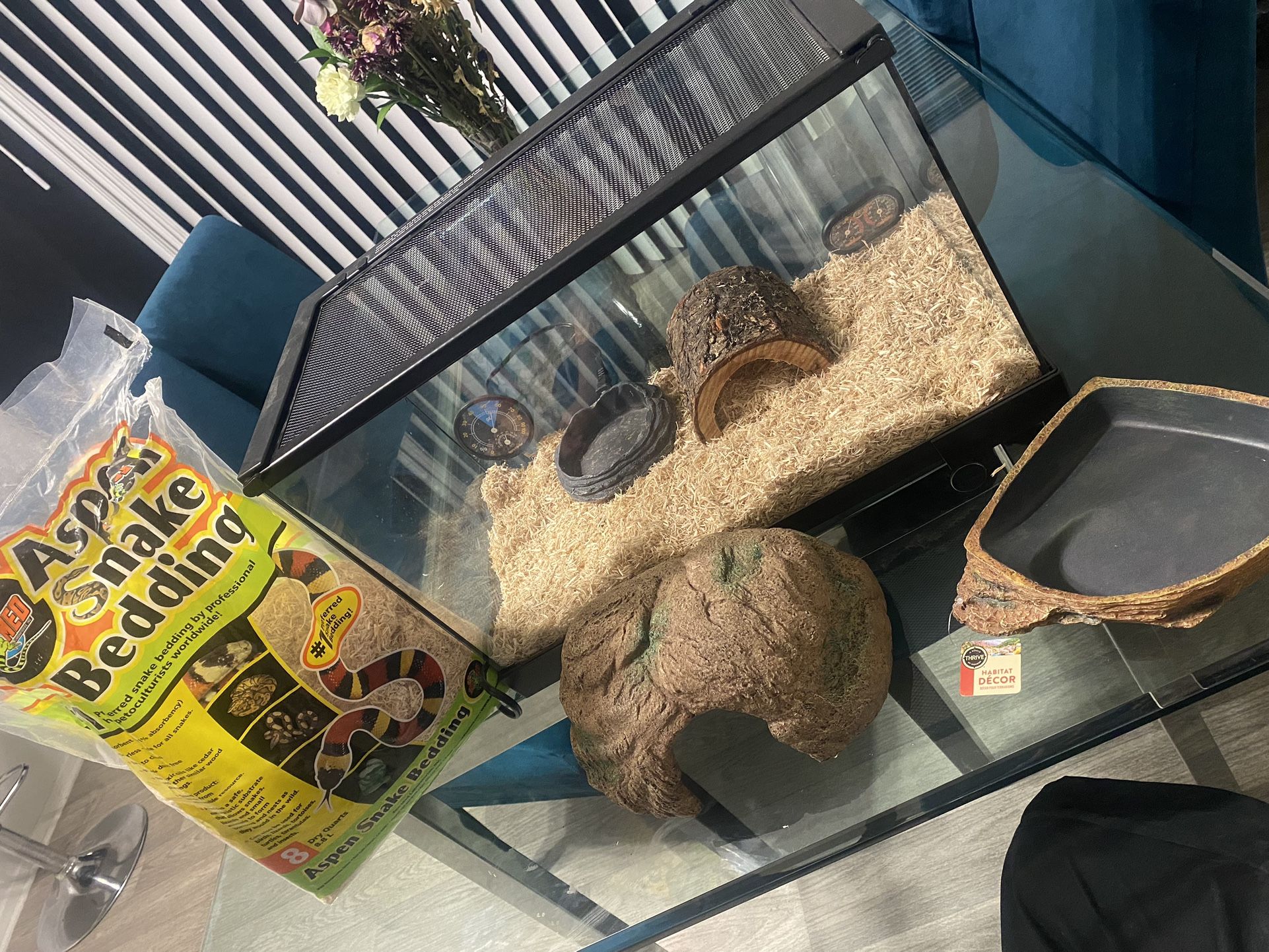 Heated Snake Tank