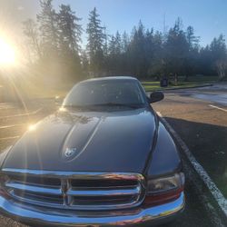 Dodge Dakota
