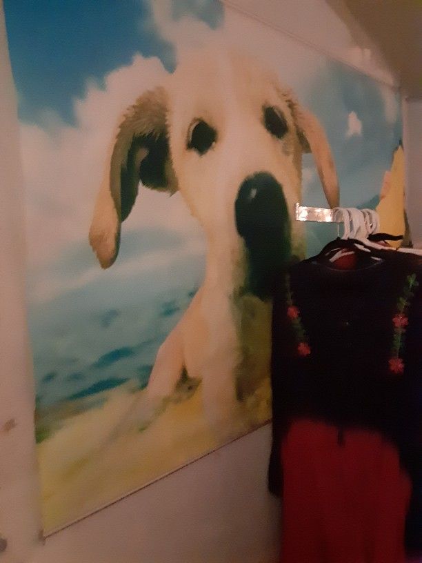 Kids Wall Decor (Covers Whole Wall) $15.00 (Serious Buyers) Cash Only First Cone First Served