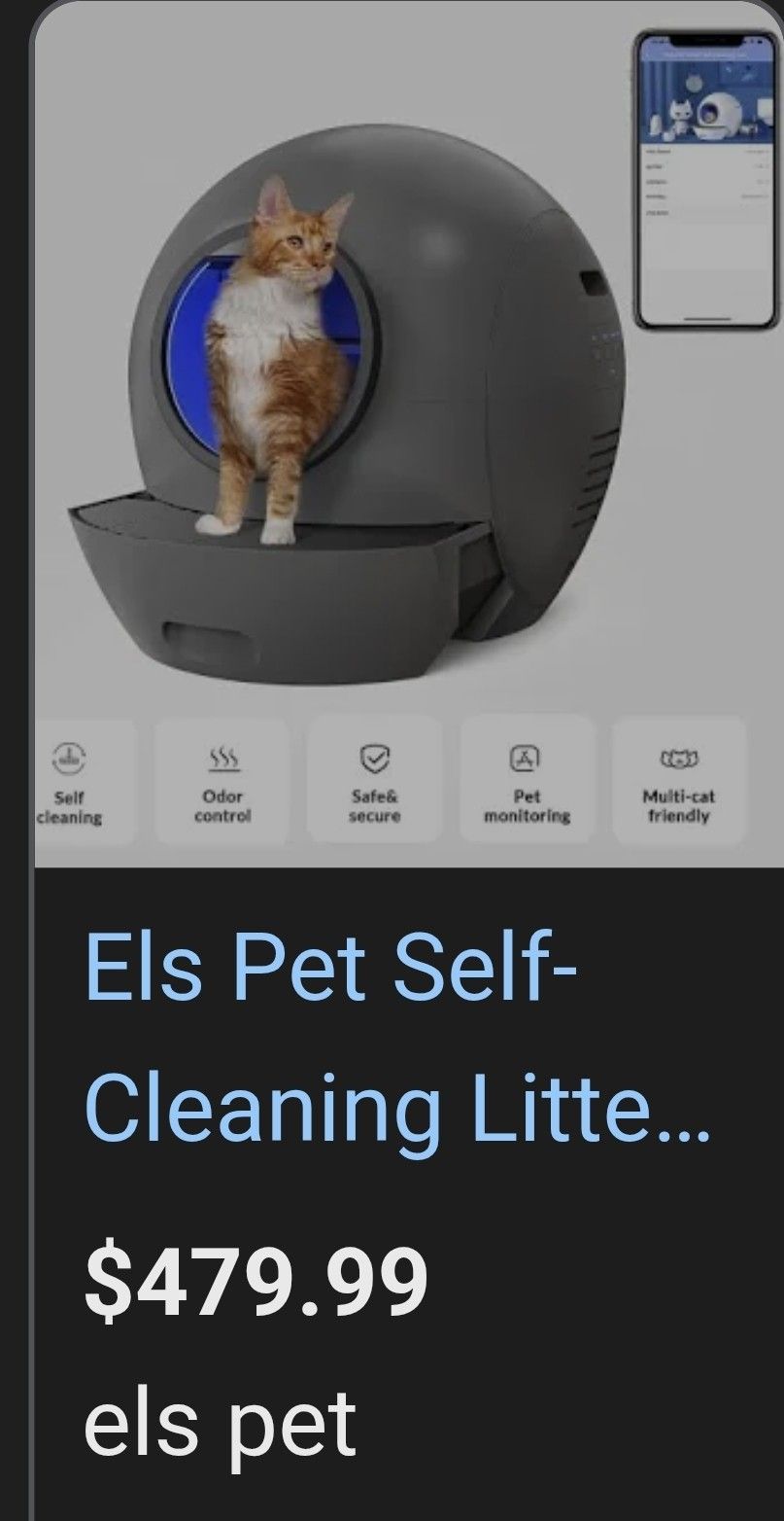 Litter Box