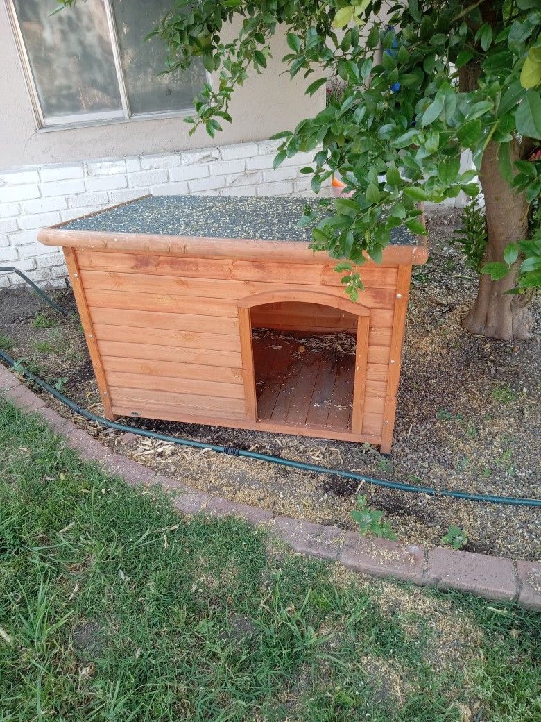 Dog House In Perfect Condition