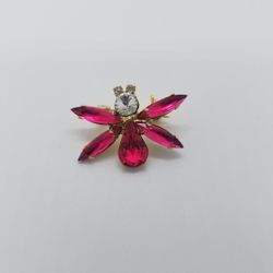Pink Insect Pin/brooch Bug
