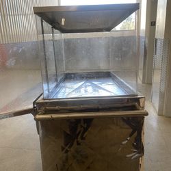 Carlitos De Frutas En Buen Estado Buen Precio 