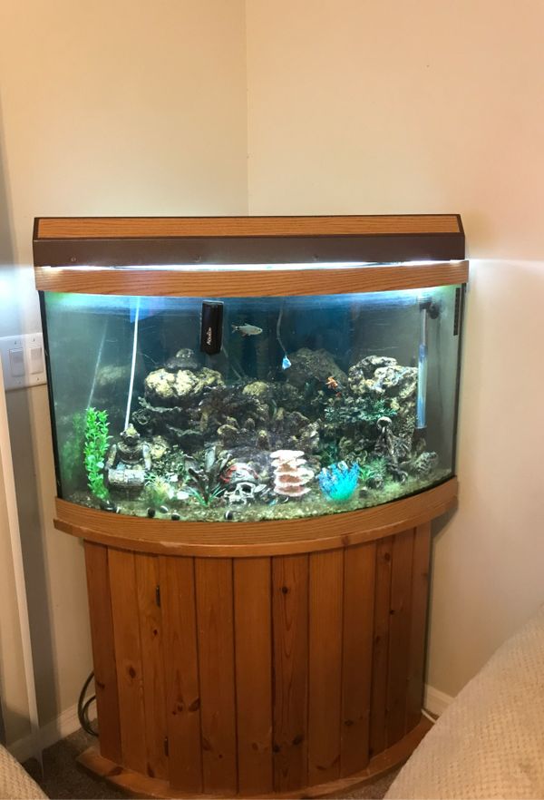 Corner fish tank 50 gallon for Sale in Tampa, FL OfferUp
