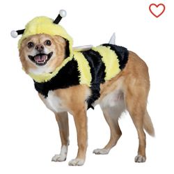Dog BumbleBee Halloween Costume 