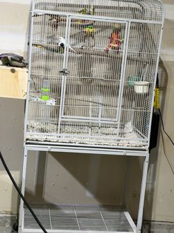 Bird cage