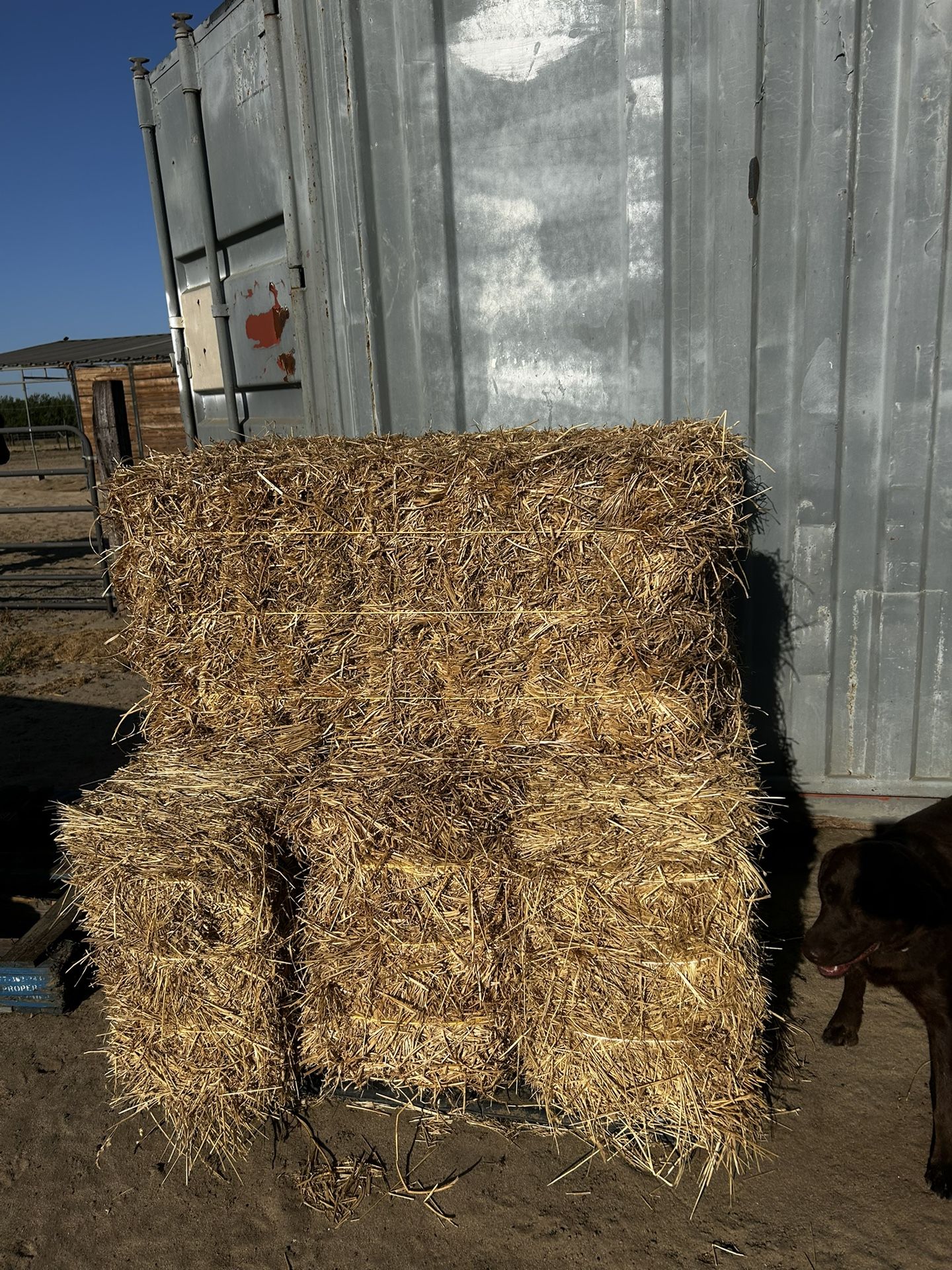 5 Bails Of Alfalfa