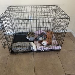 Dog Cage 