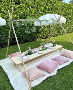 Luxury Pop up picnics! Elevate your next celebration! ✨🧺