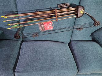 Compound Bow with Arrows and Accessories