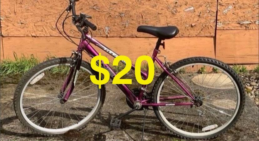 Next Elevation Mountain Bike