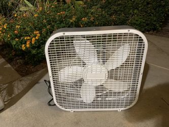 Fan