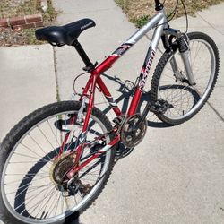 Clean Nishiki Bravo, Just Tuned Up