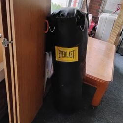 Everlast Heavy Bag Punching Bag Never Used