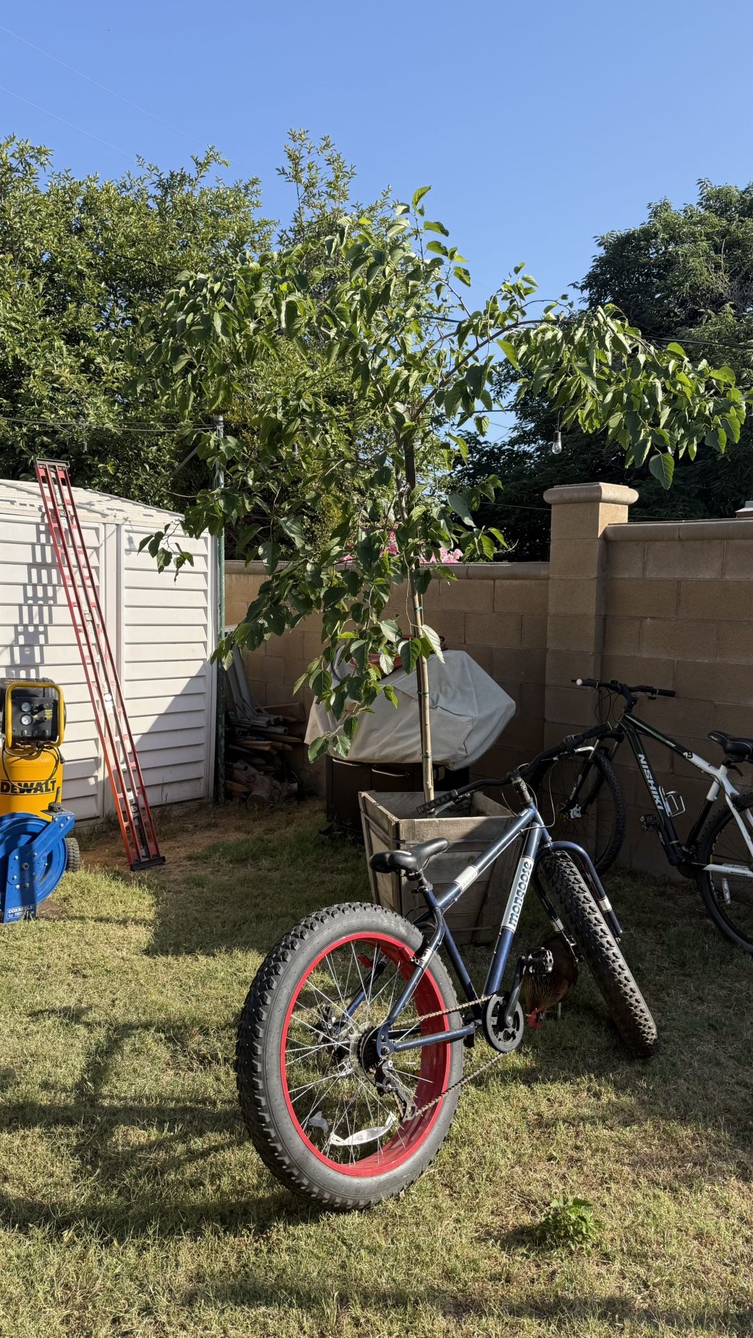 Moving Sale / Garage Clean Out