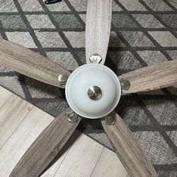 Ceiling fan in excellent condition