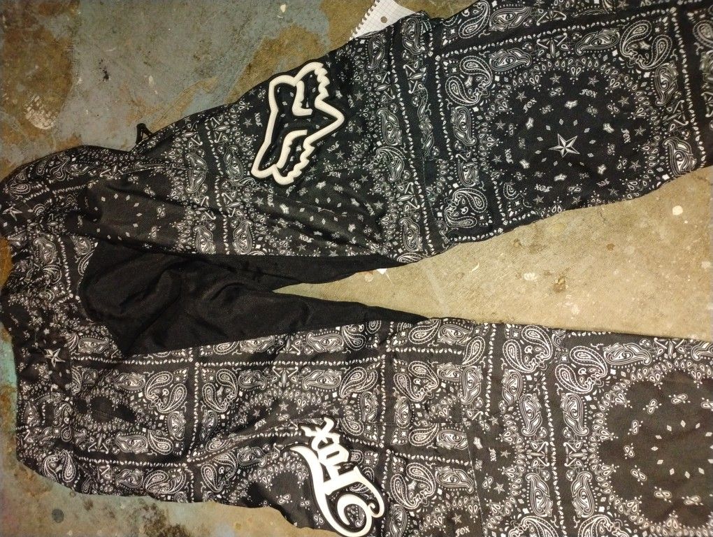 Fox Riding Pants