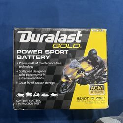 Power Sport Battery 