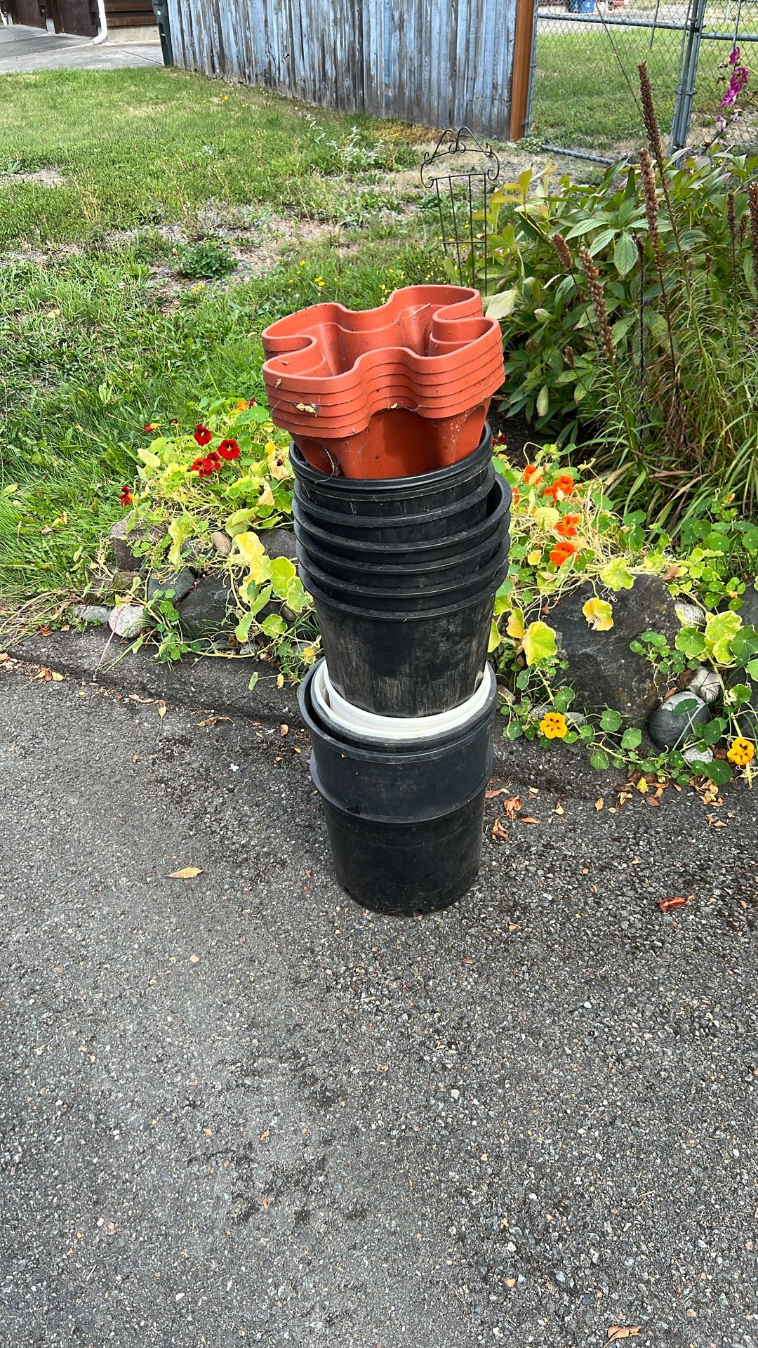 Free Large Plastic Planter Pots 2 Gallon+