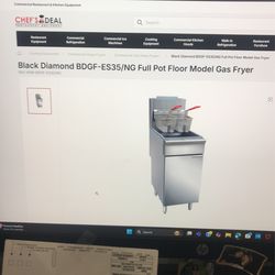 Gas Fryer