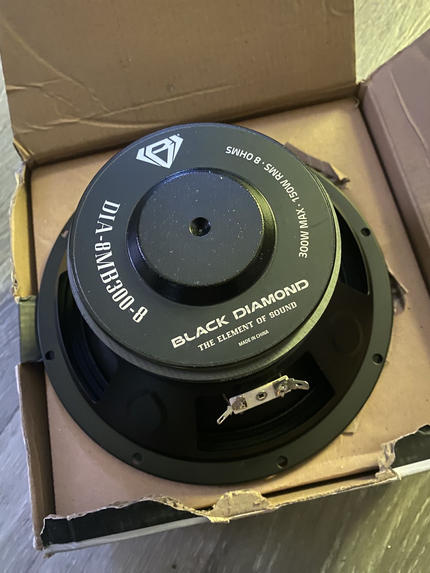 Black Diamond 8inch Subwoofer