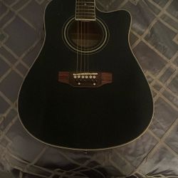 12 String Guitar