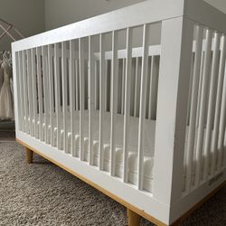 Baby Crib and Newton mattress 