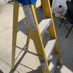 Ladders 4 Ft