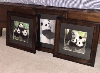 NEW Pottery Barn Framed Panda Set (3 total)