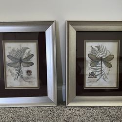 Set of 2 Framed Dragonfly Botanical Prints