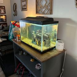 35 Gal Tank With 4 Goldfish