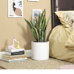 SONGMICS Ceramic Plant Pot, 10-Inch Planter, Flower Pot with Drainage Hole and Removable Plug, White ULCF001WT