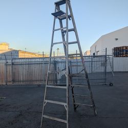 10' Ladder