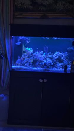 Tank and stand