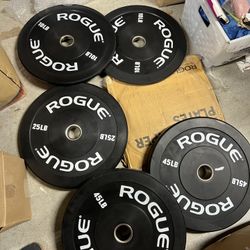 Rogue Fitness Echo V2 160LB Olympic Bumper Plate Set BRAND NEW